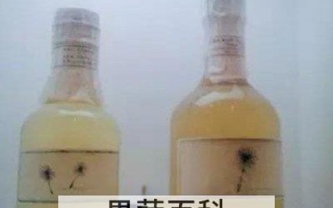 蒲公英酒如何做 蒲公英酒的制作方法