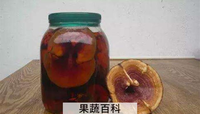灵芝怎么吃