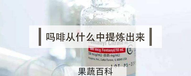 吗啡从什么中提炼出来，吗啡从鸦片中提炼出来