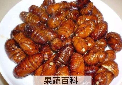 男性吃蚕蛹的好处与坏处
