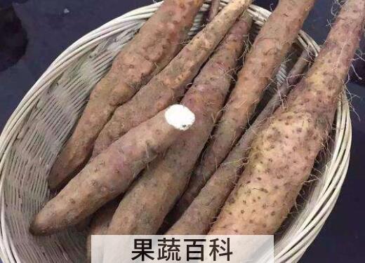 毛薯和山药的区别 吃毛薯的好处