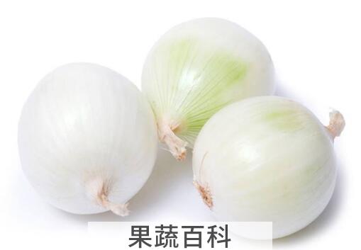 白洋葱和红洋葱的区别