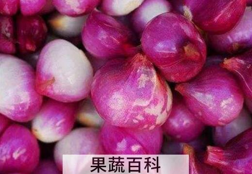白洋葱和红洋葱的区别