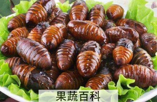 蚕蛹的功效与作用及禁忌
