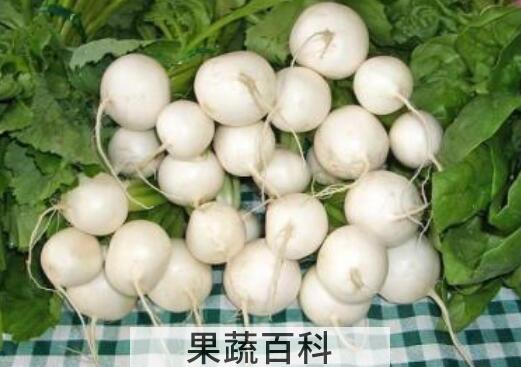 芜菁的功效与作用 芜菁的禁忌