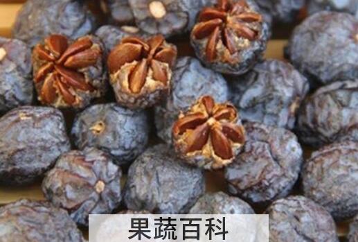 君迁子有核和无核的区别
