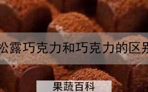 松露巧克力和巧克力的区别