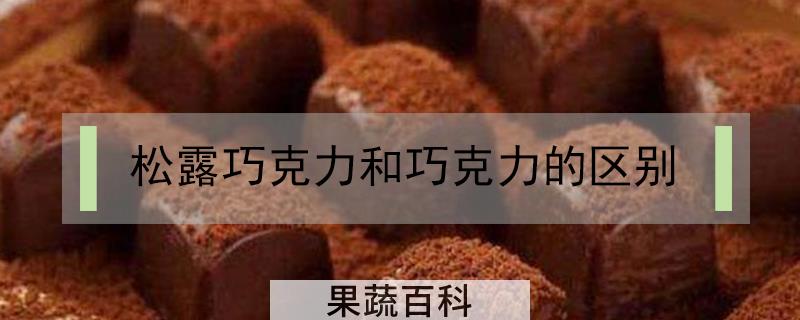松露巧克力和巧克力的区别