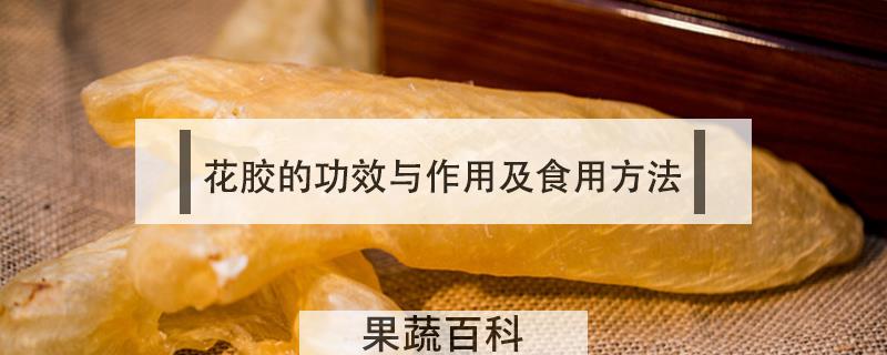 花胶的功效与作用及食用方法