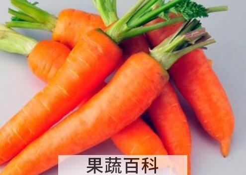 生吃胡萝卜的功效和作用