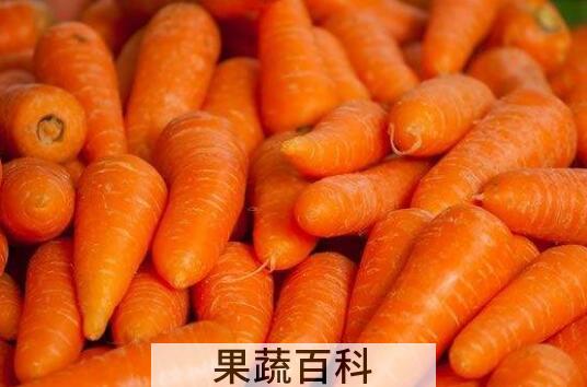 生吃胡萝卜的功效和作用