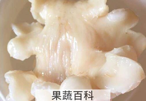 鳕鱼胶泡发的正确方法