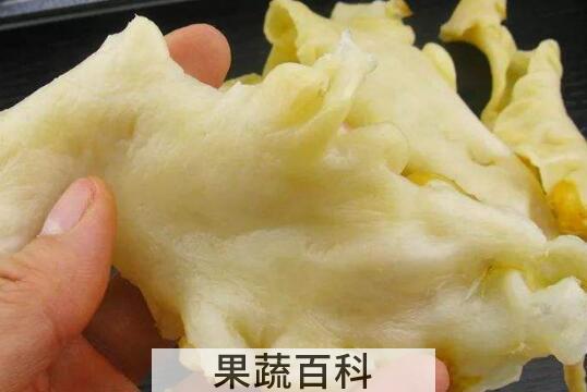 鳕鱼胶泡发的正确方法