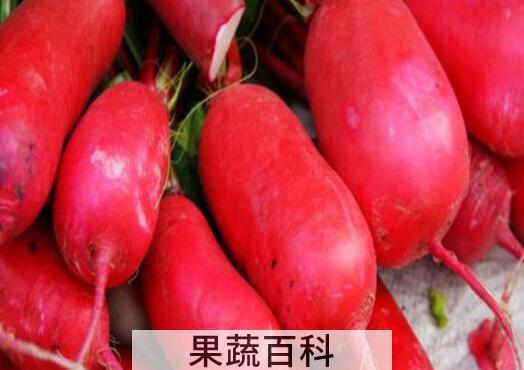 女人吃红皮萝卜的好处