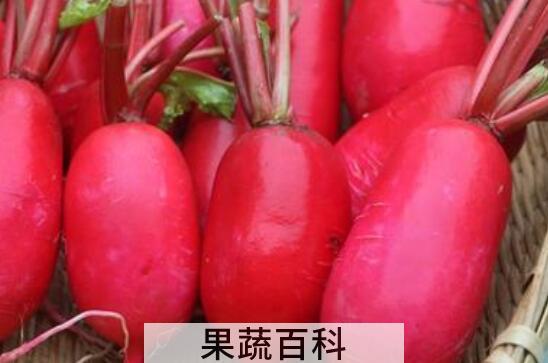 女人吃红皮萝卜的好处