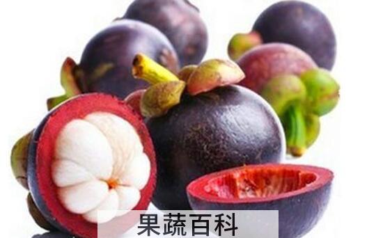 剥山竹的正确方法 山竹正确剥开的方法