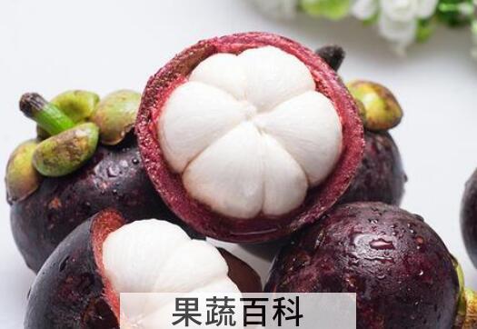 挑选山竹的诀窍 挑选山竹的好方法