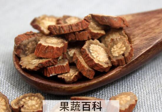 女性喝丹参茶有什么好处和坏处