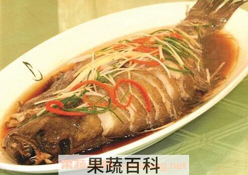鸦片鱼的功效作用与食用方法