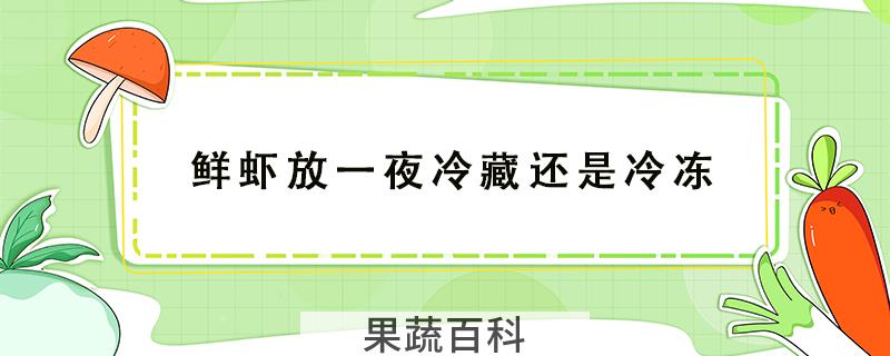 鲜虾放一夜冷藏还是冷冻
