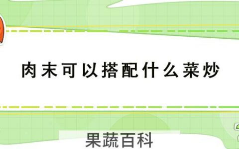 肉末可以搭配什么菜炒