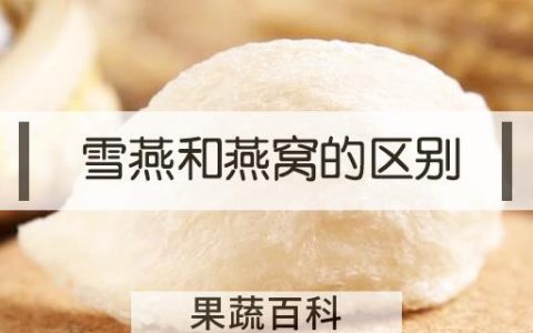 雪燕和燕窝的区别