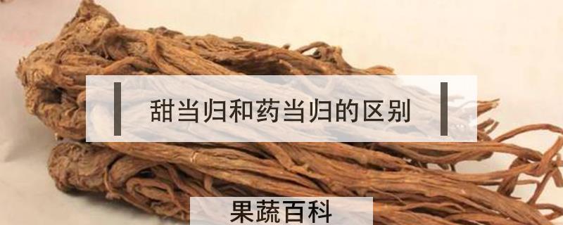 甜当归和药当归的区别
