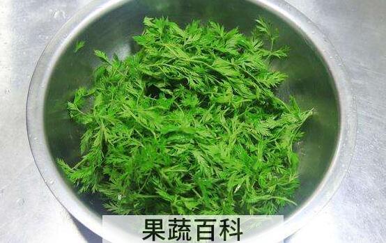 胡萝卜缨子的功效和作用