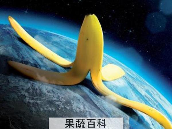 口感挑战锦标赛 香蕉皮能吃吗