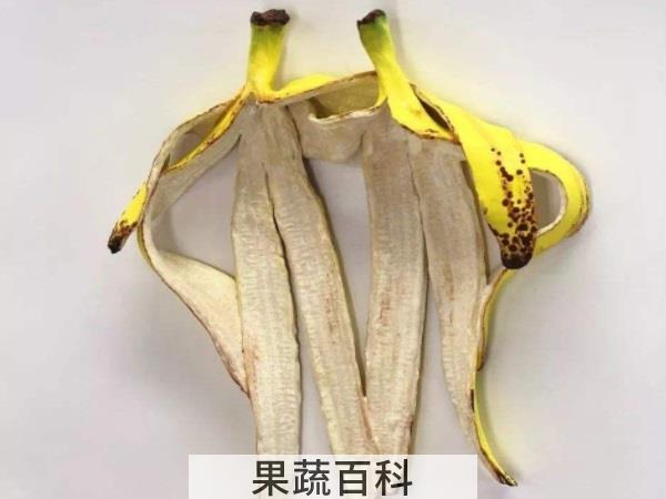 口感挑战锦标赛 香蕉皮能吃吗