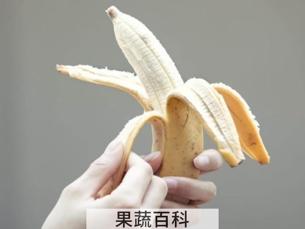 口感挑战锦标赛 香蕉皮能吃吗