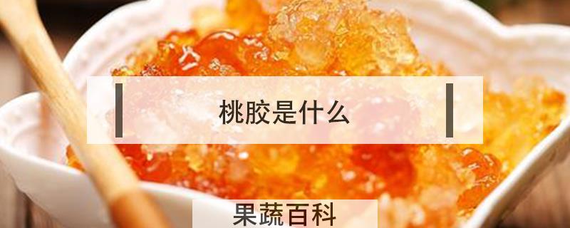 桃胶是什么