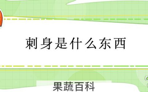 刺身是什么东西