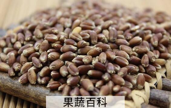 黑麦仁怎么煮粥 黑麦仁粥的做法教程