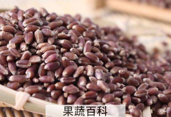 黑麦仁怎么煮粥 黑麦仁粥的做法教程