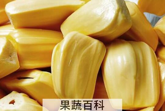 剥好的菠萝蜜怎么保存