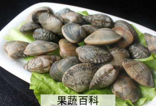 花蛤去沙小技巧 2分钟花蛤快速吐沙子