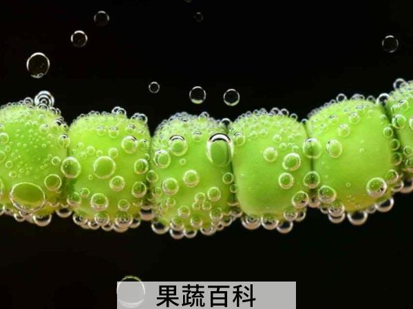 感受化学元素的力量 水果为什么会变色
