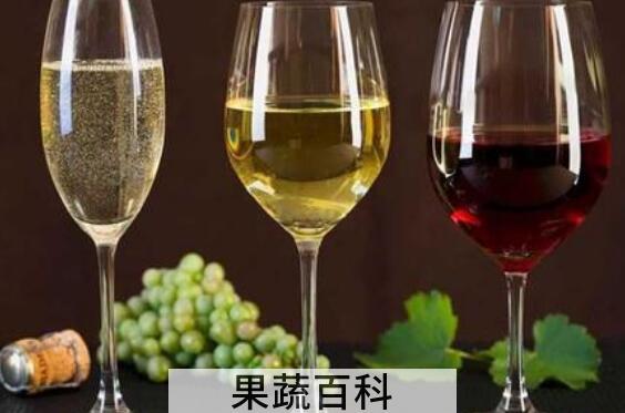 白葡萄酒和红葡萄酒的区别
