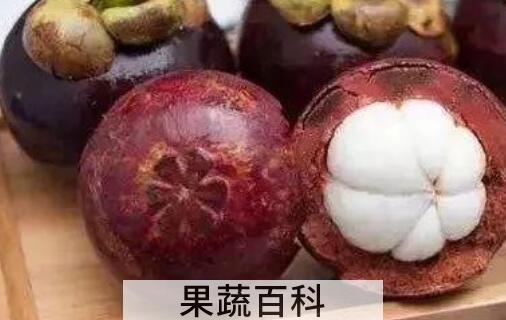 挑选山竹怎样挑选 山竹公母怎么挑选