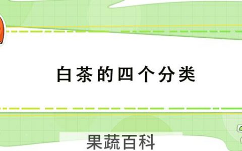 白茶的四个分类