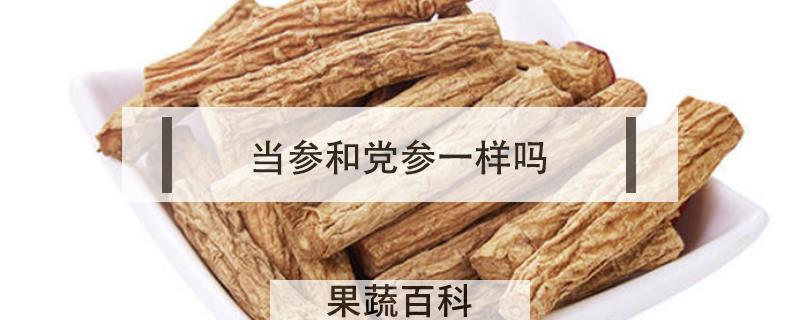 当参和党参一样吗