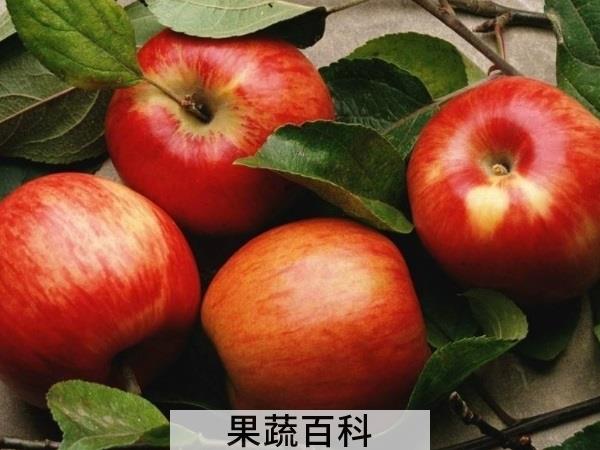 考取理想院校必备 高考吃什么水果好