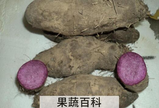 大薯与毛薯的区别 大薯的食用方法
