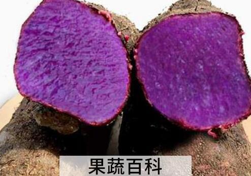 大薯与毛薯的区别 大薯的食用方法