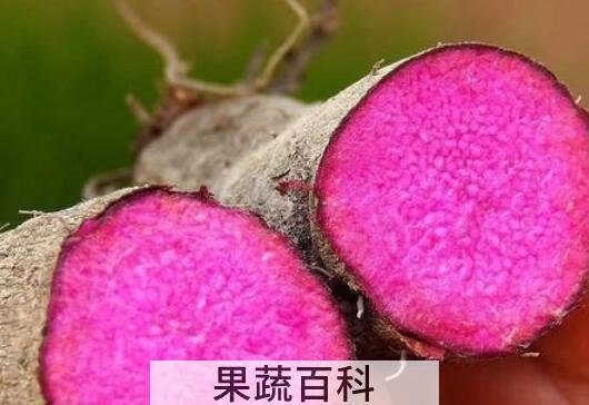 毛薯的功效与作用 毛薯做什么好吃