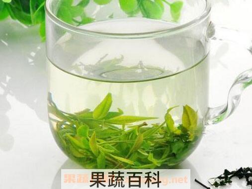 毛冬青茶叶的功效与作用