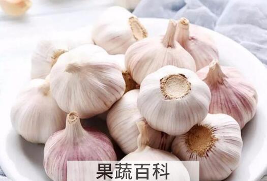大蒜头的功效与作用 