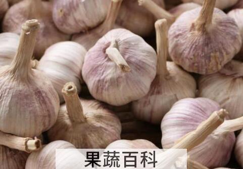 大蒜怎样保存不发芽