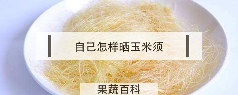 自己怎样晒玉米须